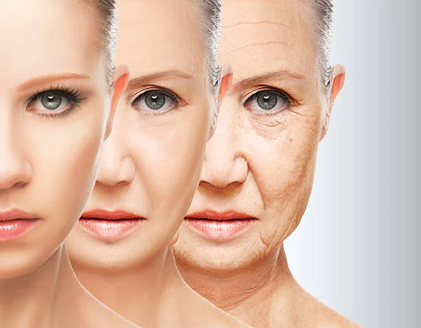 revisil anti aging cream